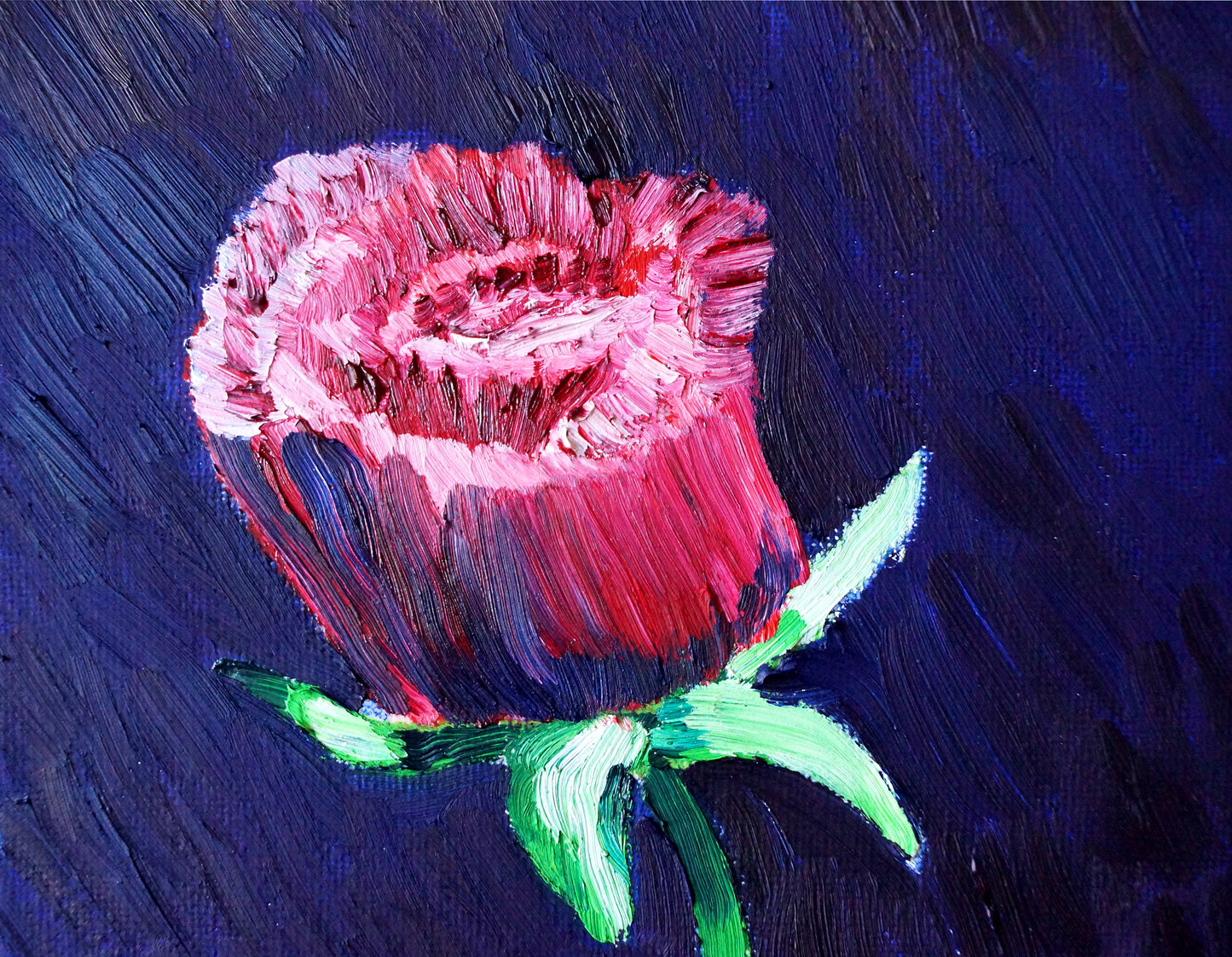 MCG Single Red Rose